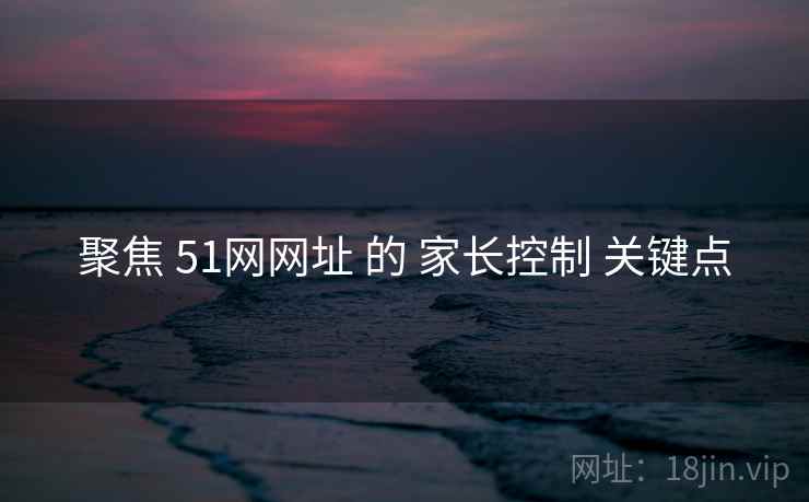 聚焦 51网网址 的 家长控制 关键点