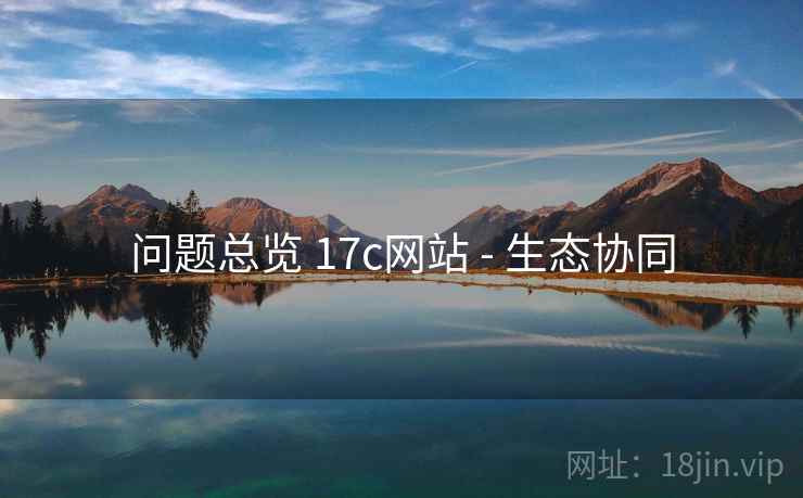 问题总览 17c网站 - 生态协同