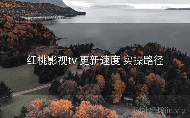 红桃影视tv 更新速度 实操路径