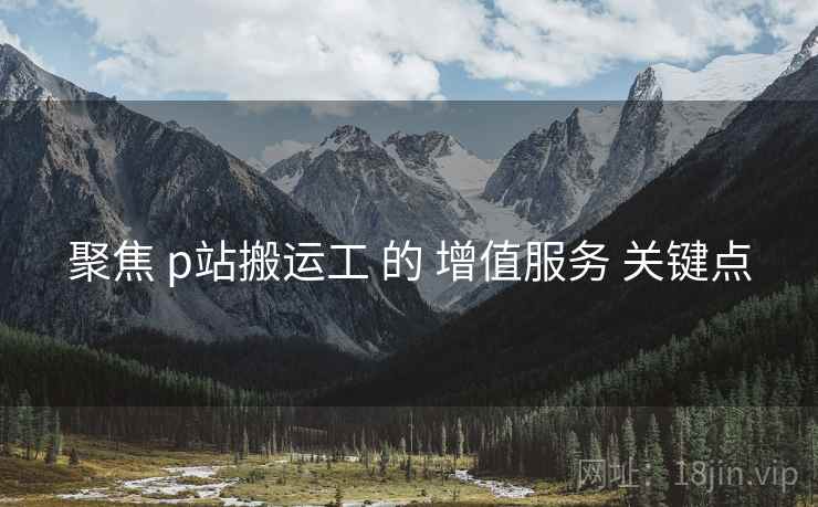聚焦 p站搬运工 的 增值服务 关键点