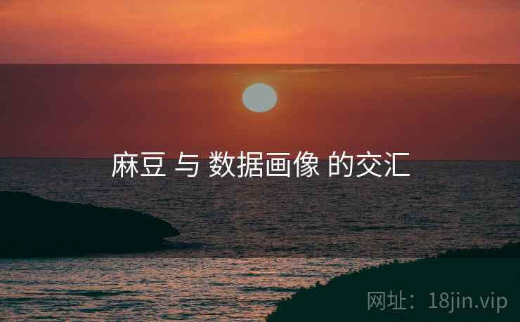 麻豆 与 数据画像 的交汇