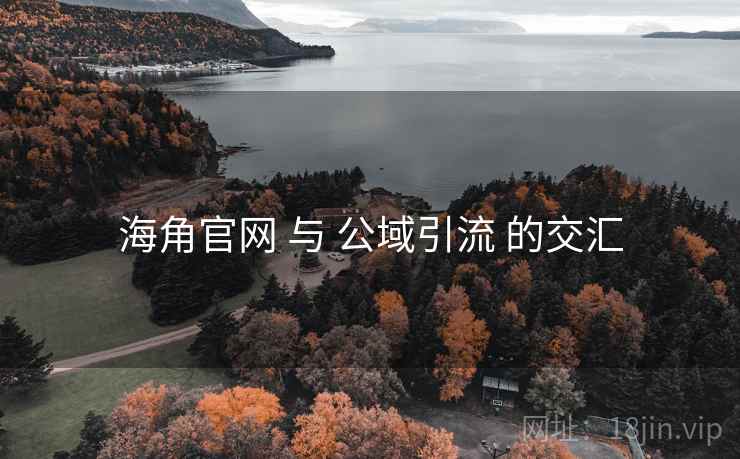 海角官网 与 公域引流 的交汇