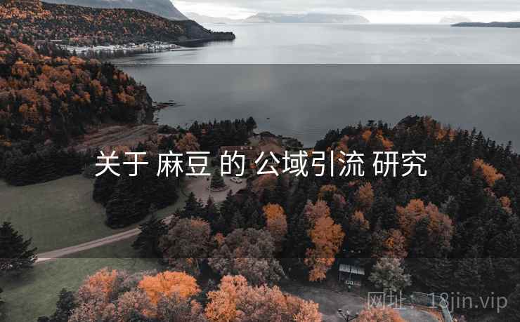 关于 麻豆 的 公域引流 研究